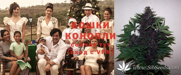 spice Зеленодольск