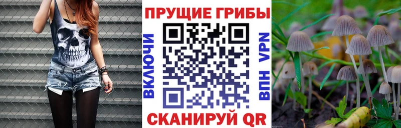 Купить где  Петрозаводск  Псилоцибиновые грибы ЛСД 