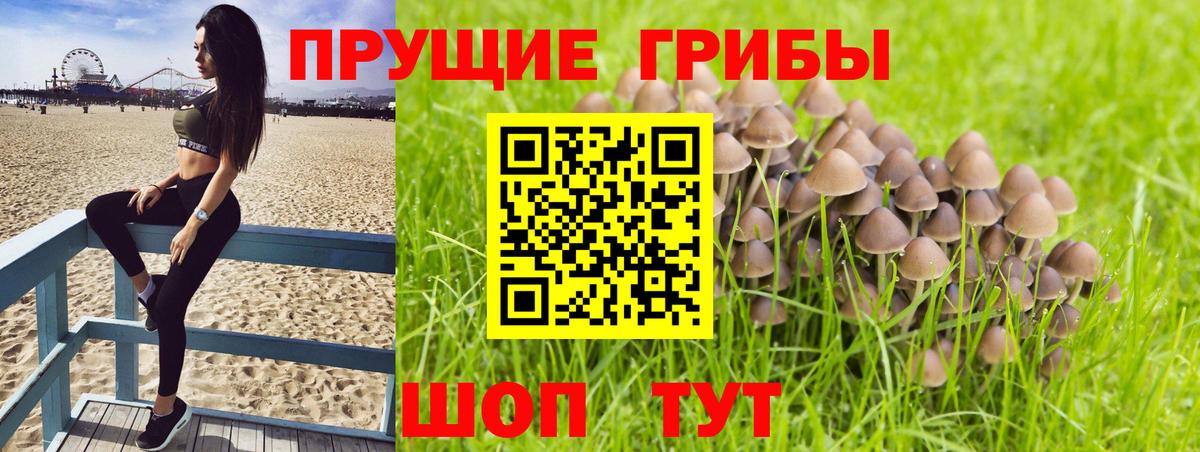 Галлюциногенные грибы MAGIC MUSHROOMS Петрозаводск