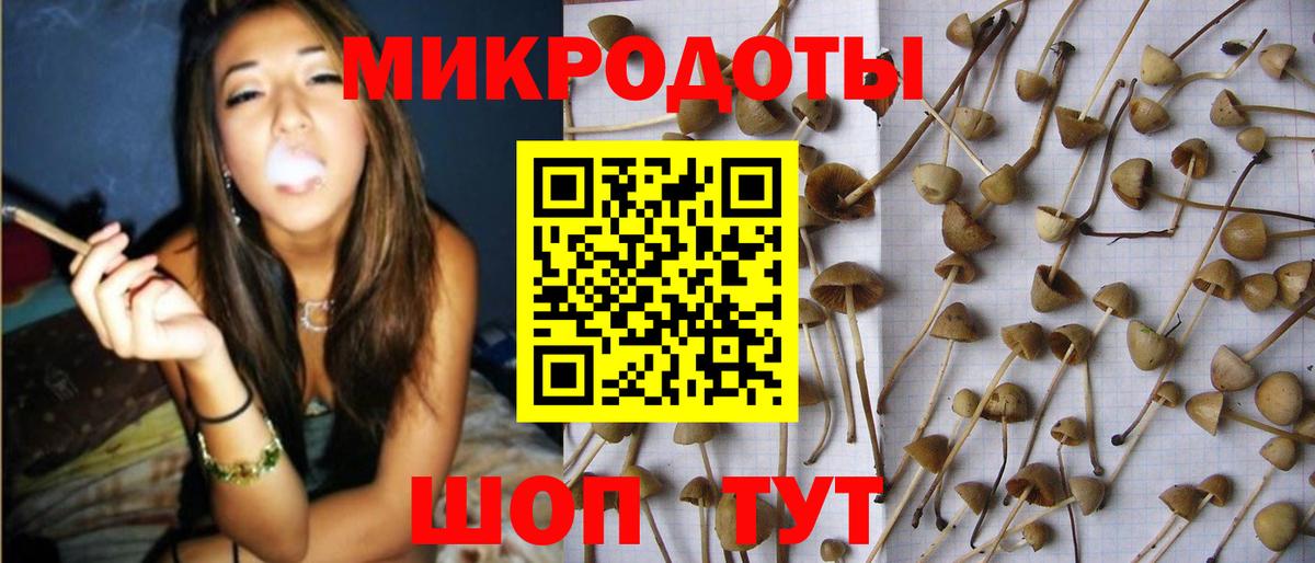 Псилоцибиновые грибы Psilocybe  Вход с VPN  магазин продажи наркотиков  Псилоцибиновые грибы мухоморы  Петрозаводск 